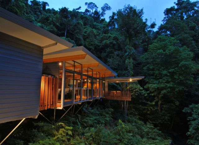 Incredible Forest House Everyone Would Dream Of