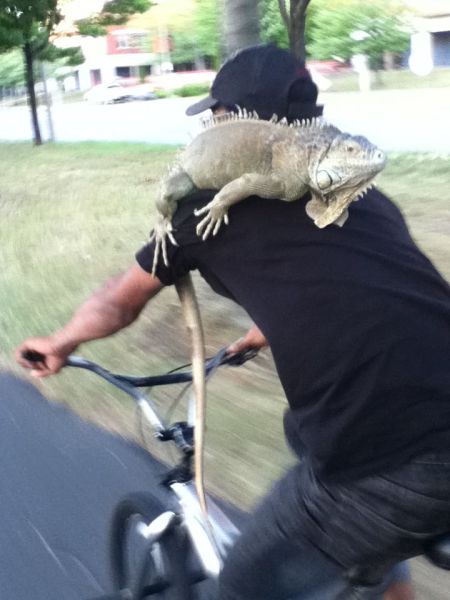 Morning Picdump