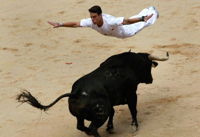 Morning Picdump