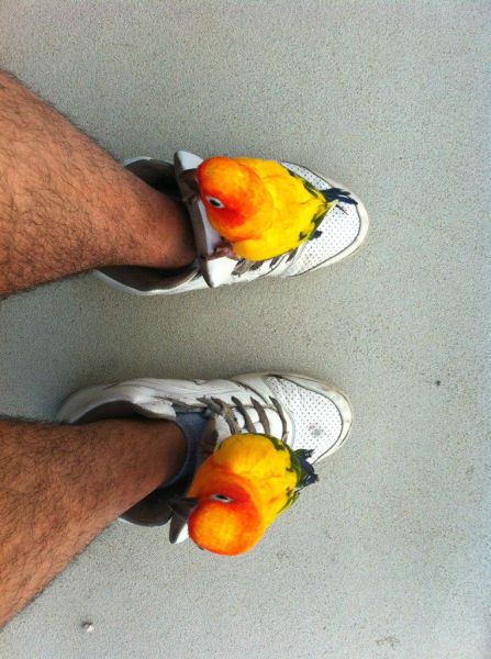 Morning Picdump