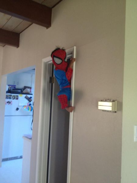 Morning Picdump