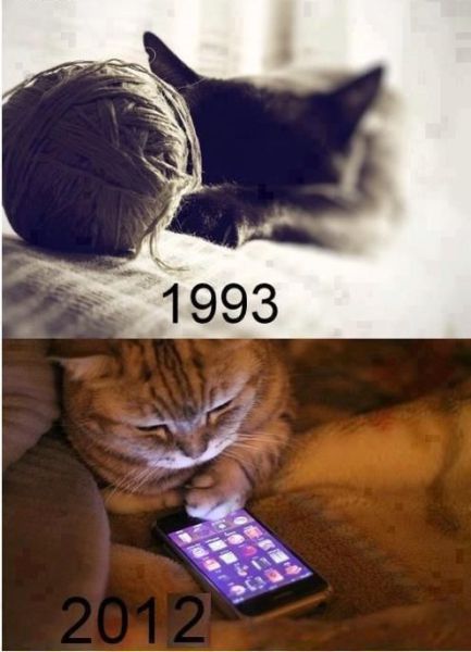 Morning Picdump