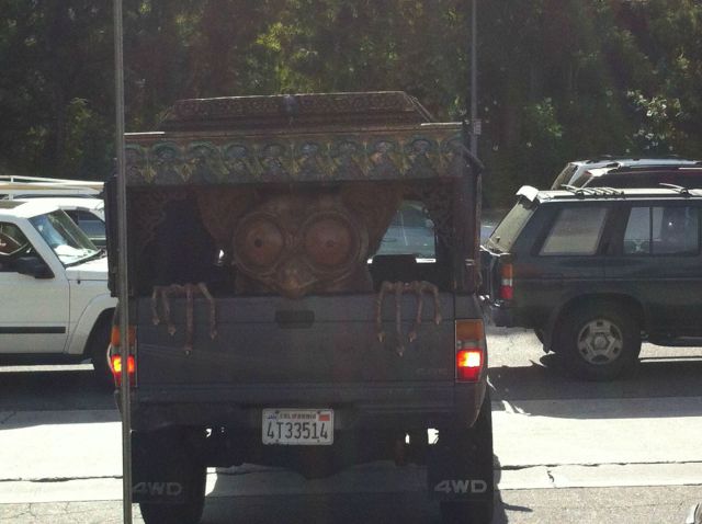 Morning Picdump