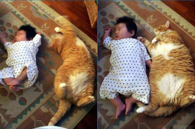 Possibly the Cutest Moments Ever Photographed