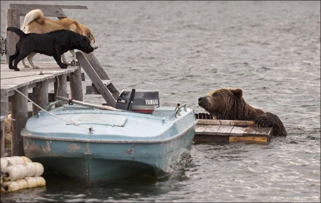 Morning Picdump