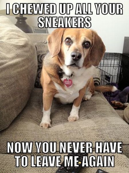 Daily Picdump [WEEKEND EDITION]