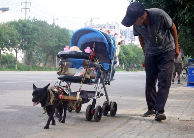 Daily Picdump