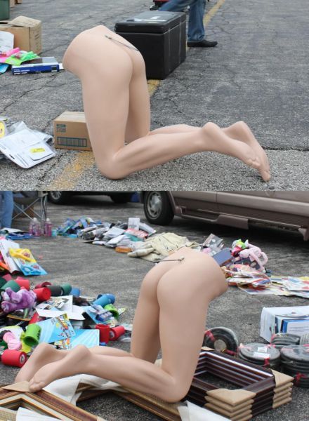 Daily Picdump