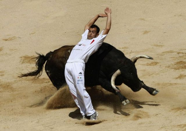 Morning Picdump