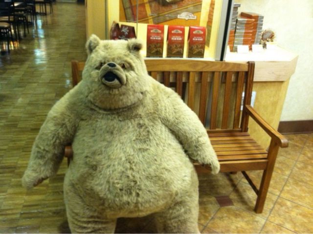 Morning Picdump