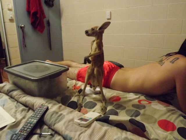 Morning Picdump