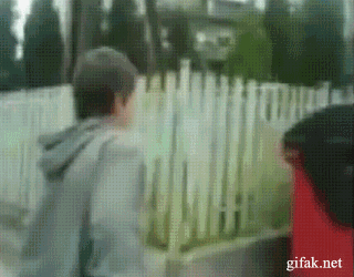 Daily Gifdump