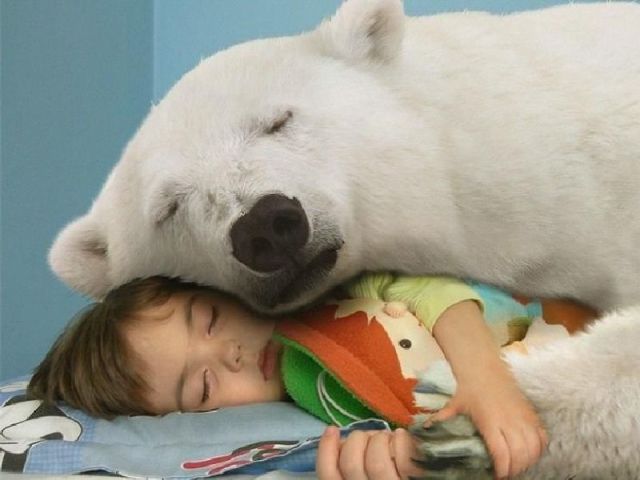 Daily Picdump