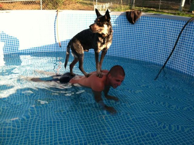 Daily Picdump