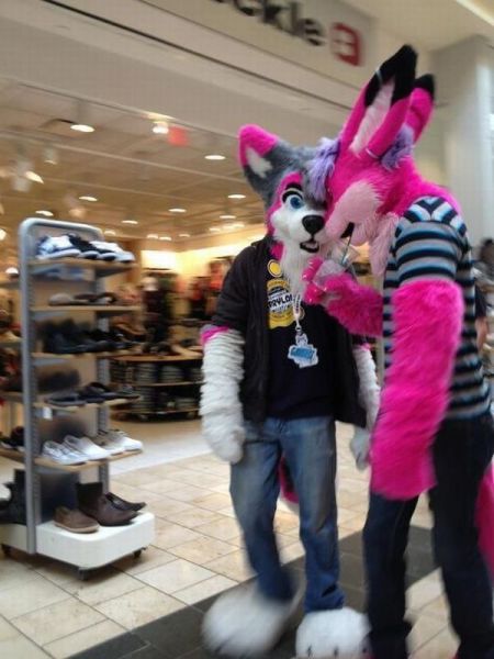 Morning Picdump