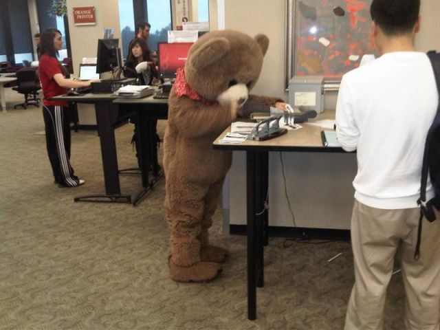 Morning Picdump