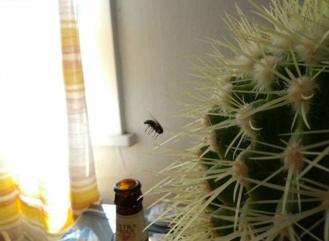 Morning Picdump