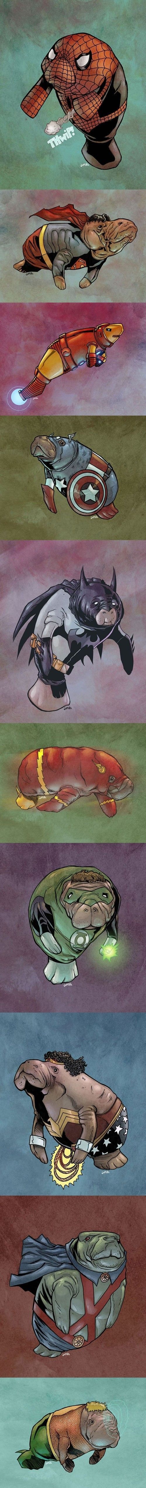Morning Picdump