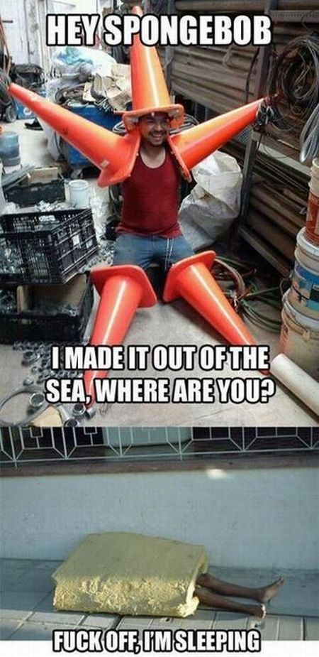 Morning Picdump