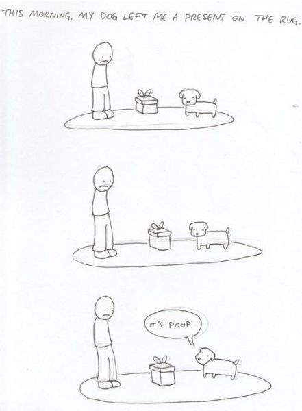 Morning Picdump