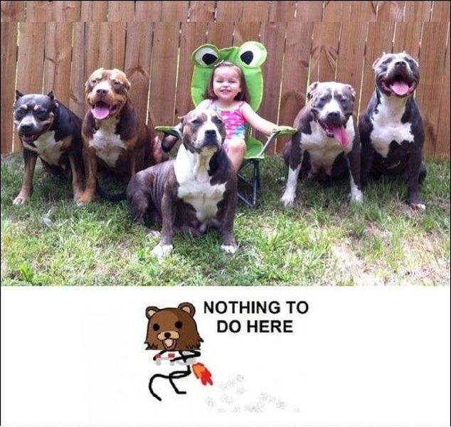 Morning Picdump
