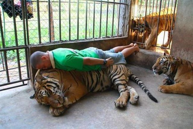 Morning Picdump
