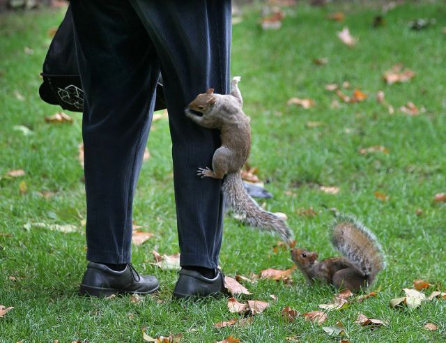 Daily Picdump [WEEKEND EDITION]