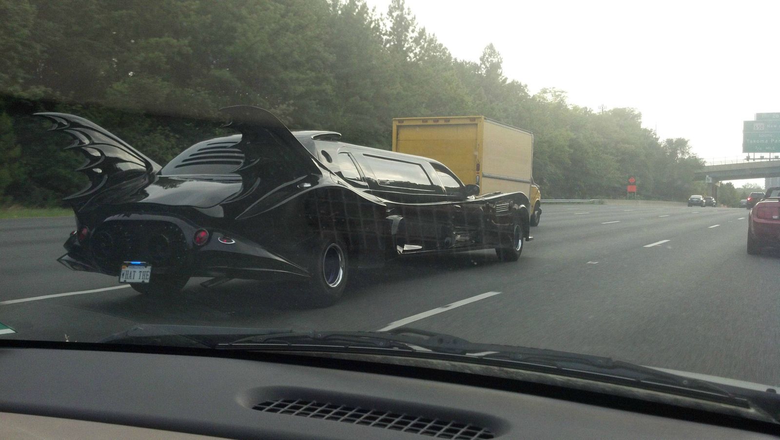daily_picdump_1022_97.jpg