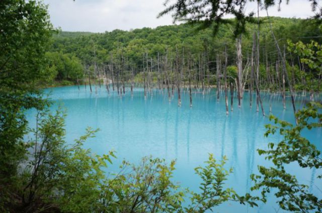 Fantastic Blue Pond in Japan