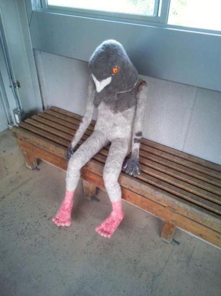 Morning Picdump