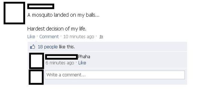 Morning Picdump