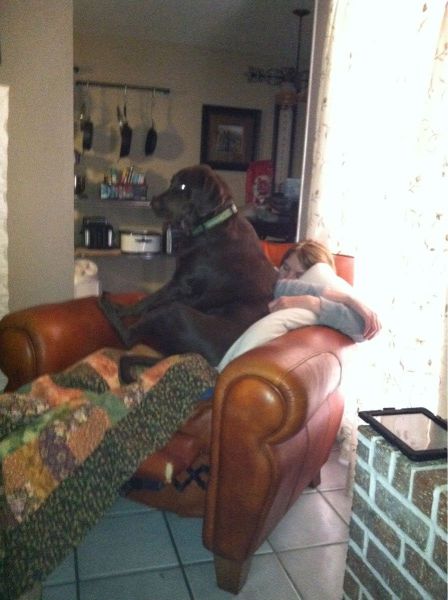 Morning Picdump