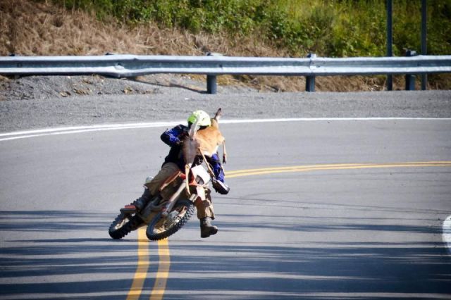 Daily Picdump