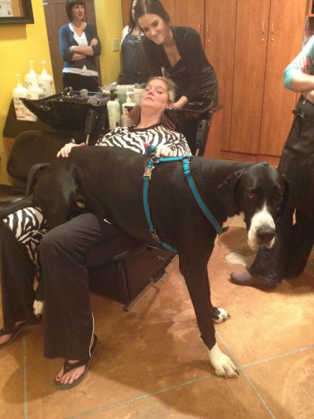 Daily Picdump