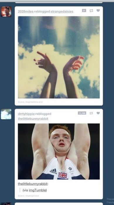 Morning Picdump
