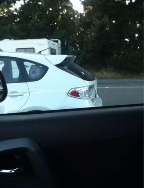 Morning Picdump