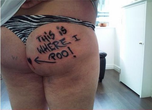 Daily Picdump