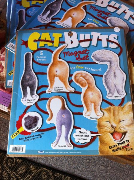 Daily Picdump