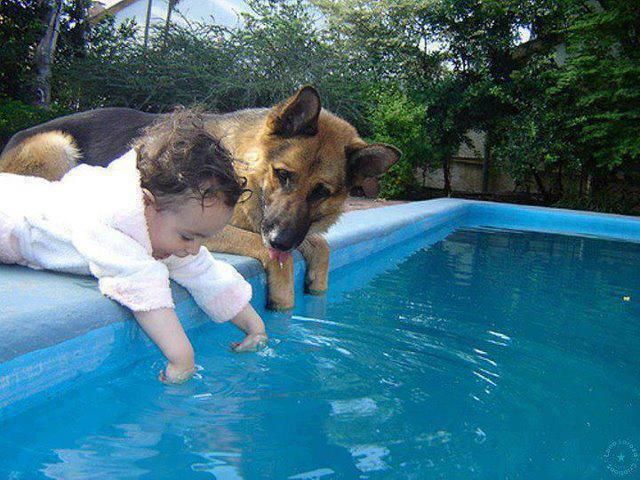 Daily Picdump
