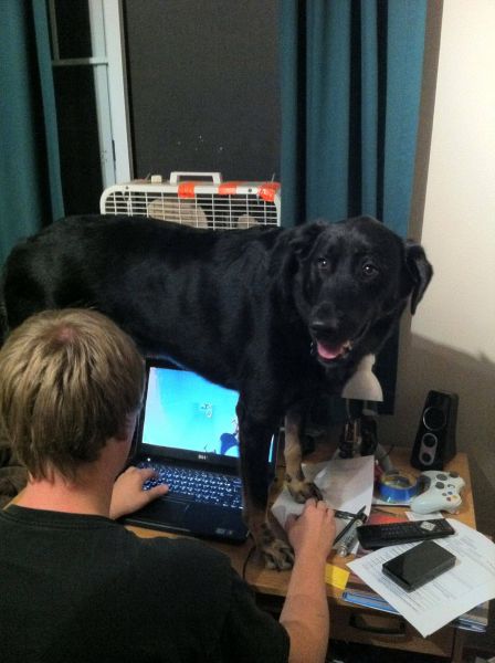 Daily Picdump