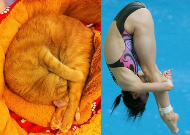 Daily Picdump