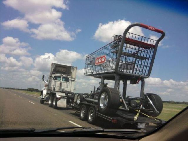 Morning Picdump
