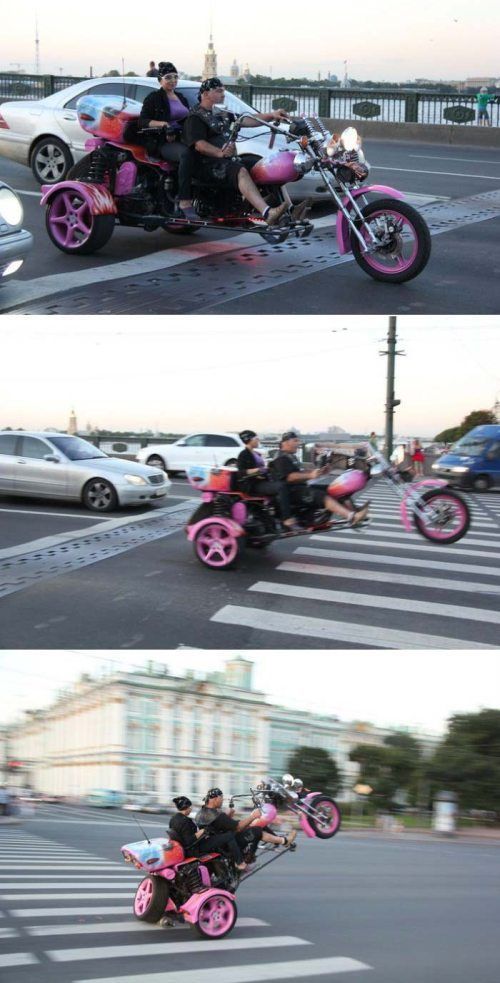 Morning Picdump
