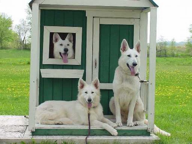 Morning Picdump
