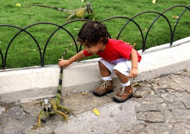 Morning Picdump
