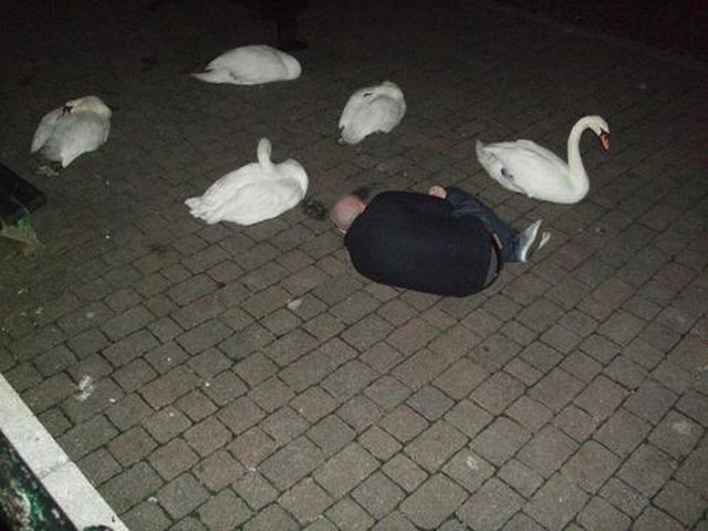 Morning Picdump