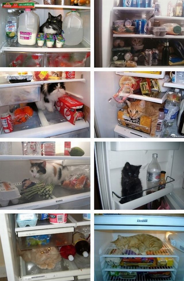 Morning Picdump