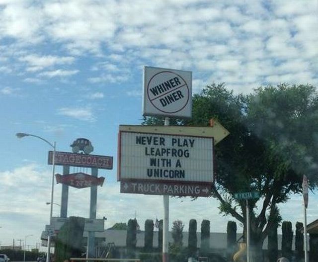 Morning Picdump