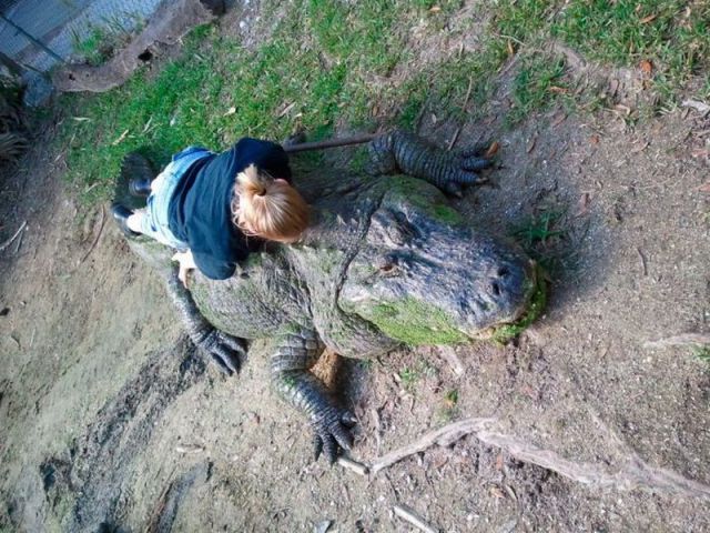 Morning Picdump