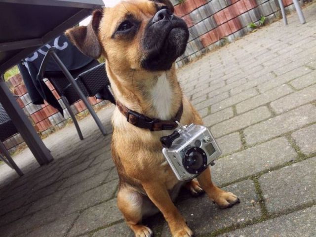 Morning Picdump